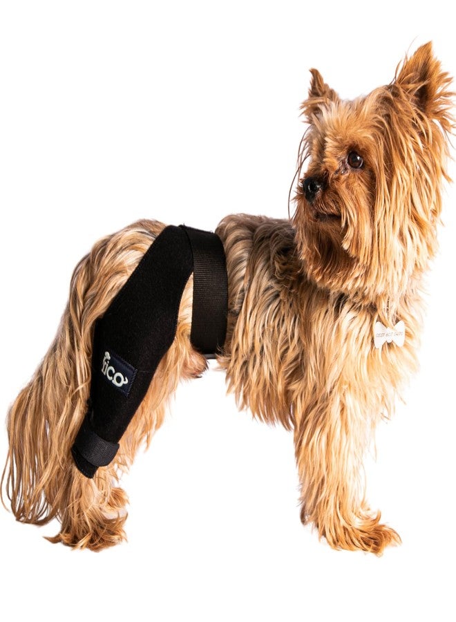 Fico Dog Knee Brace for Hind Leg Support - Left Leg, CCL ACL Brace for Dogs, Vet Approved, Adjustable Orthopedic Support for Arthritis, Ligament Injuries & Post-TPLO Surgery Recovery (X Small) - Image 1